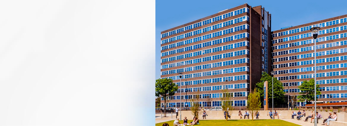 Head Office